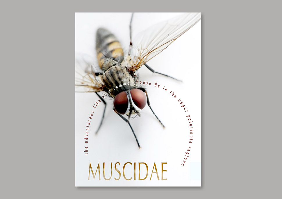 Das Bild zeigt eine Nahaufnahme einer Stubenfliege (Muscidae) von oben. Der Fokus liegt auf den Augen und dem Körper der Fliege. Um die Fliege herum ist ein Kreis aus Text angeordnet, der den wissenschaftlichen Namen „Muscidae“ und eine (fiktive) Beschreibung enthält: „the adventurous life of a common house fly in the upper palatine region“. Der Hintergrund ist weiß, der Text ist in einer dunklen, bräunlichen Farbe gehalten. Das Gesamtbild wirkt minimalistisch und ästhetisch.