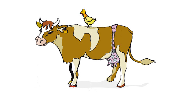 Illustration zum Spruch »Kuhfrauen haben den Busen unten« von Christine Kern.